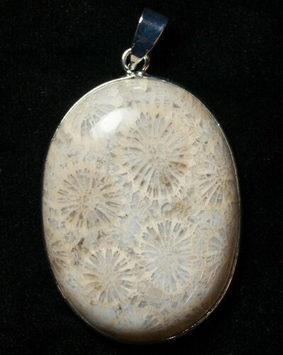 Large Fossil Coral Sunburst Pendant #8523